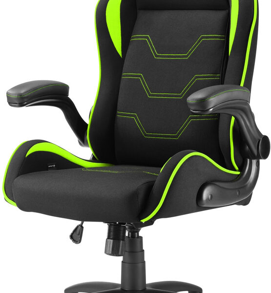 Игровое кресло Sharkoon Elbrus 1 Черно-зеленое