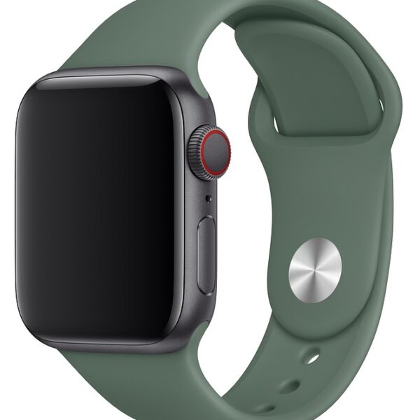 Ремешок для умных часов Everstone ES-AWBS-108 Apple Watch 38/40мм силиконовый Green