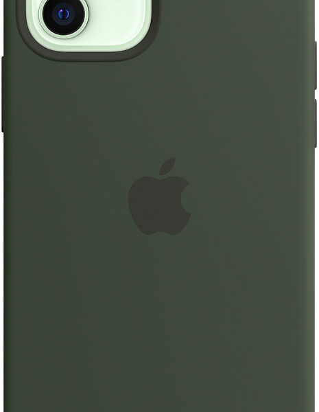 Клип-кейс Apple iPhone 12/12 Pro MagSafe силиконовый Кипрский зеленый (MHL33ZE/A)