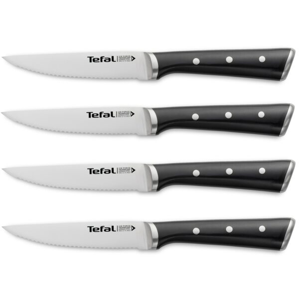 Набор из 4 ножей для стейка Ice Force K232S414