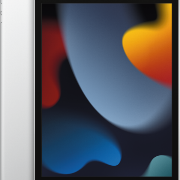 Планшет Apple iPad 2021 10.2" 64Gb Wi-Fi Серебристый (MK2L3)