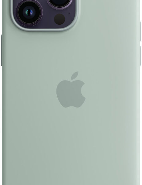Чехол-накладка Apple iPhone 14 Pro Max Silicone Case with MagSafe Нежный кактус